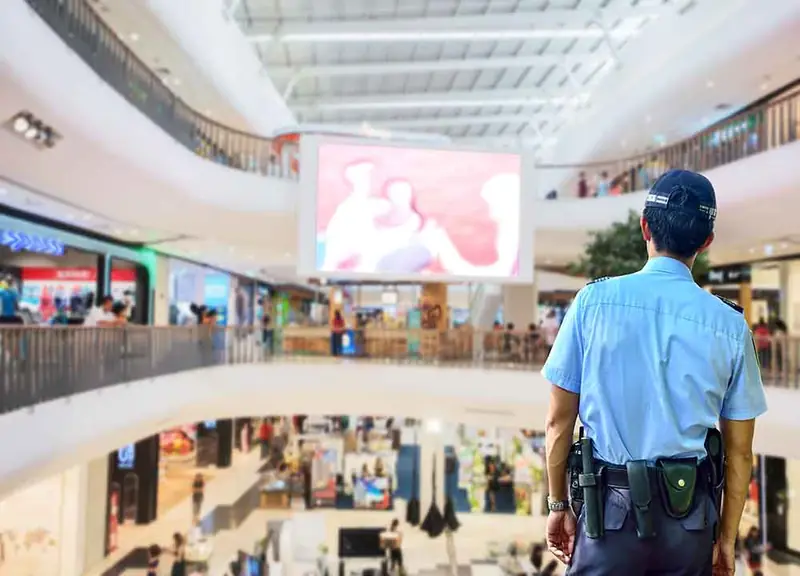 Security Systems and Services
