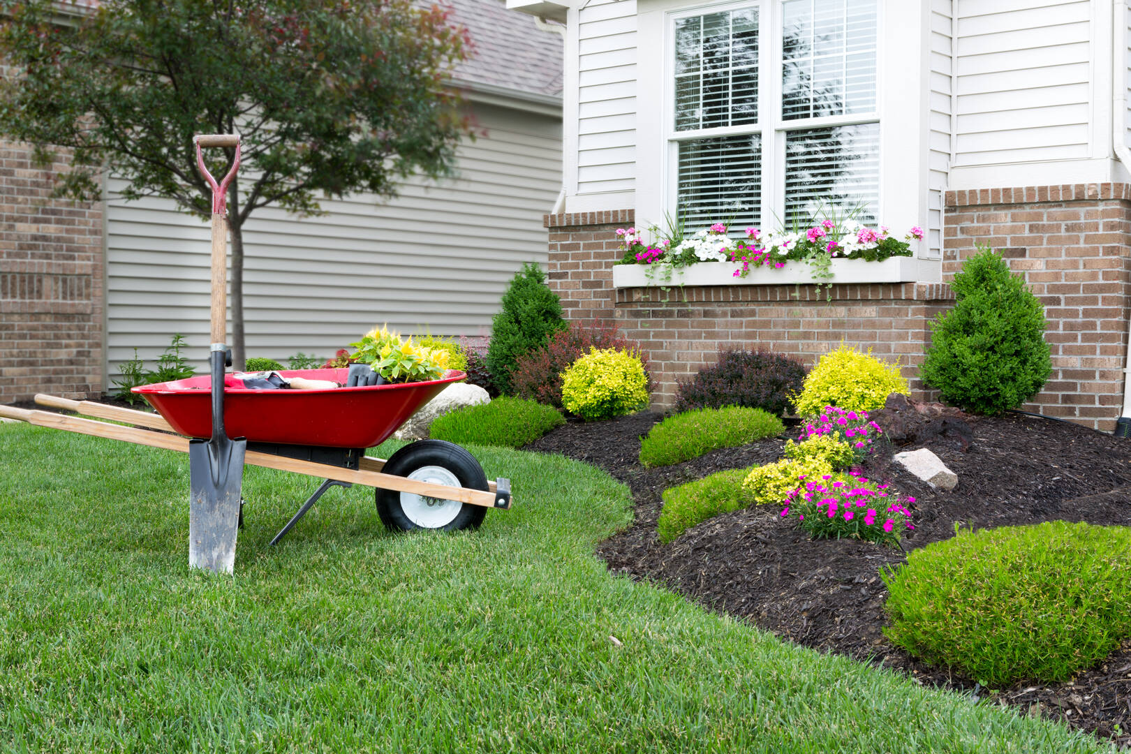 Big Bend Tree Service LLC