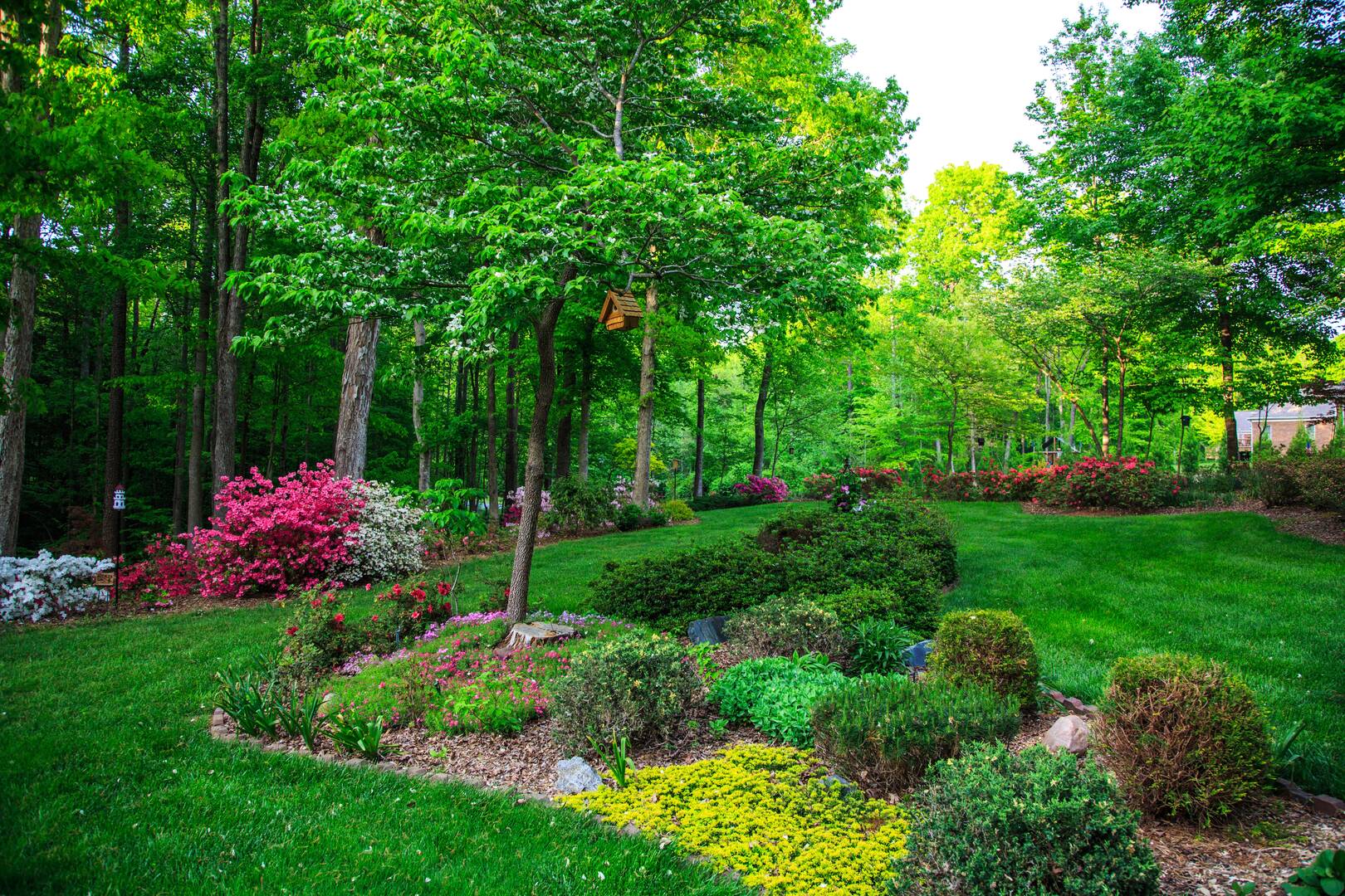 Jacksonâ€™s Tree Service, LLC