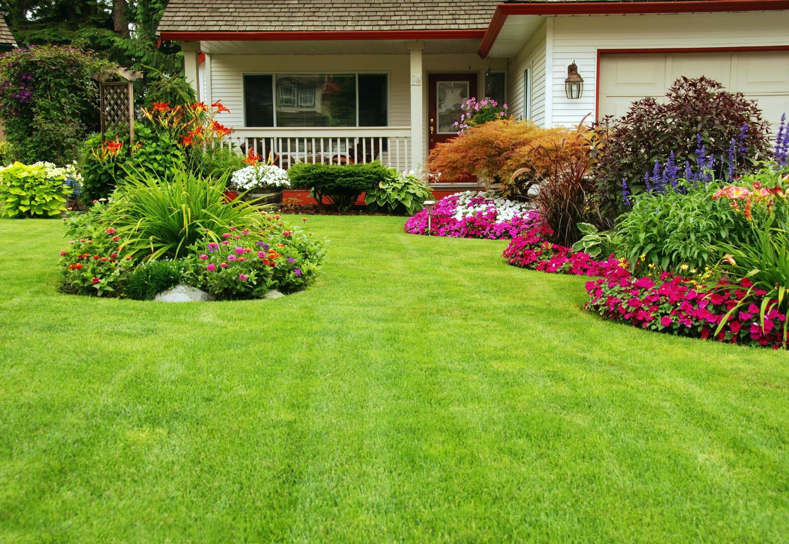 Arbor Pro's Tree Service