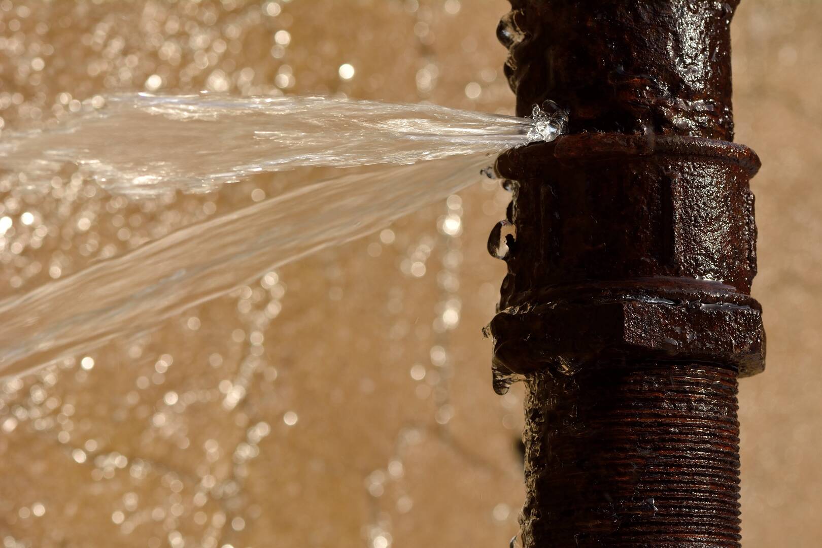 Terry's Plumbing