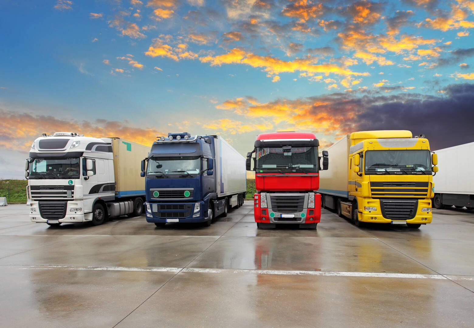 Elite Moving & Storage Inc