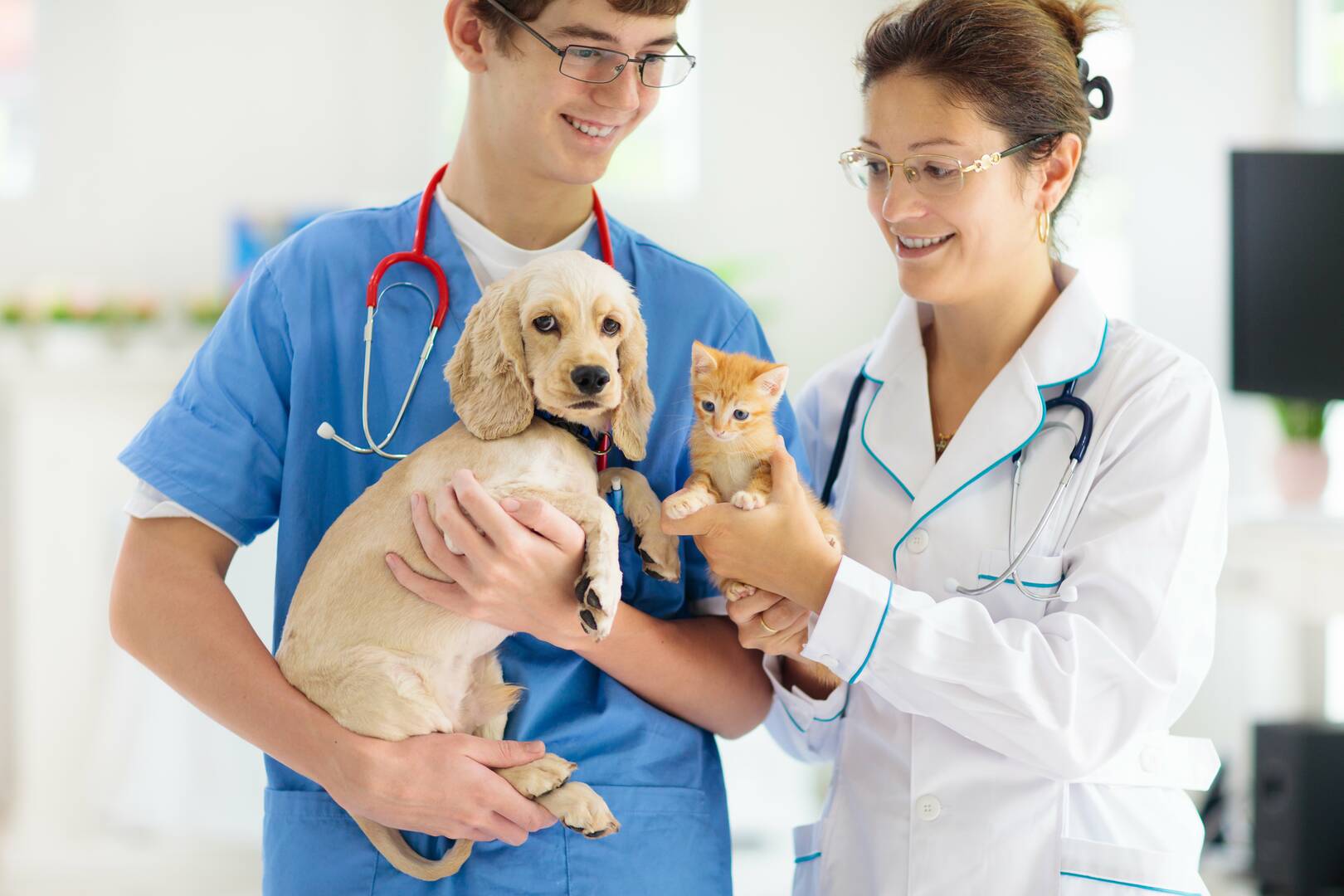 Beaver Dam Veterinary Clinic