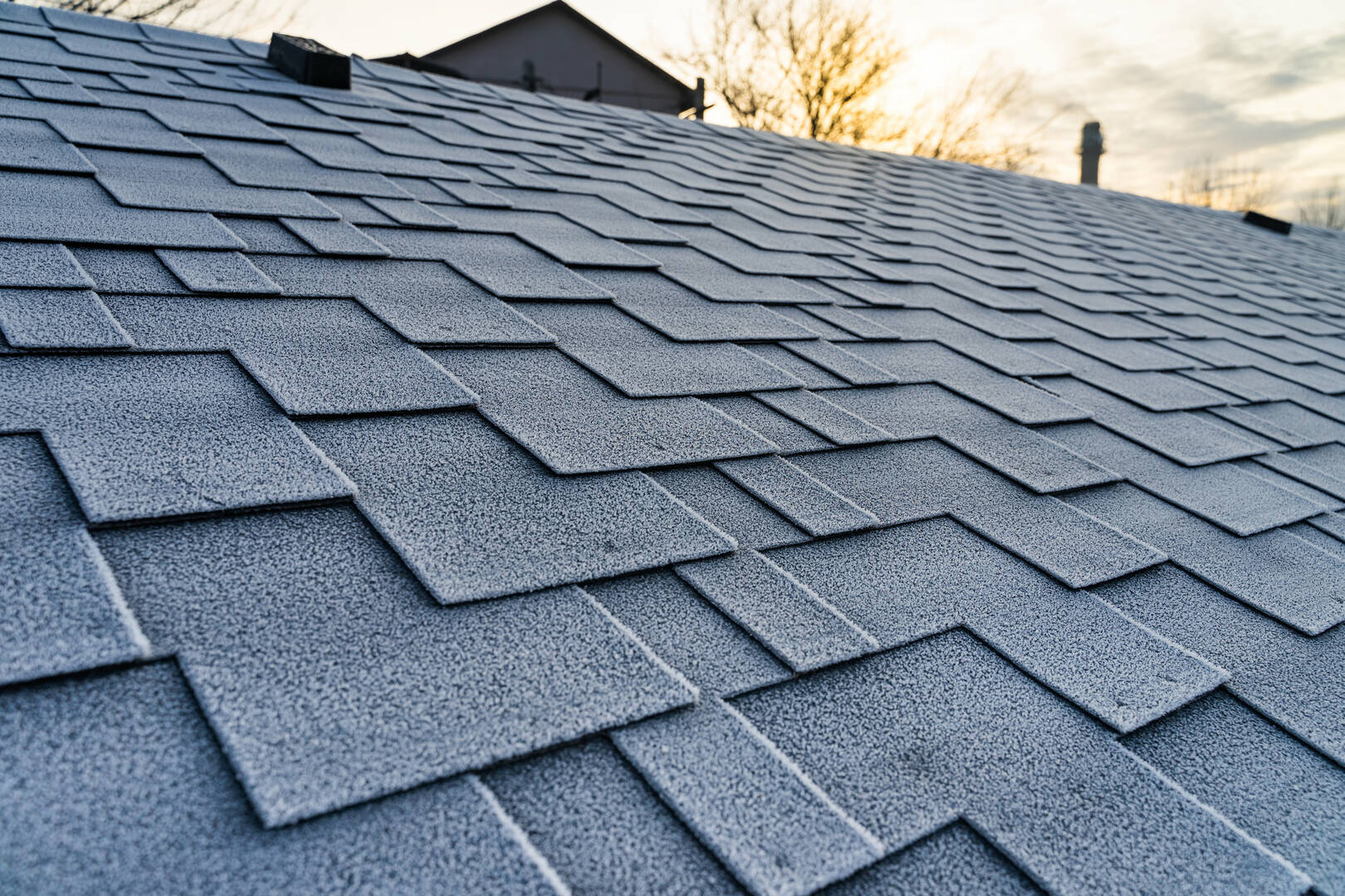 Palm & Pineapple Roofing and Exteriors