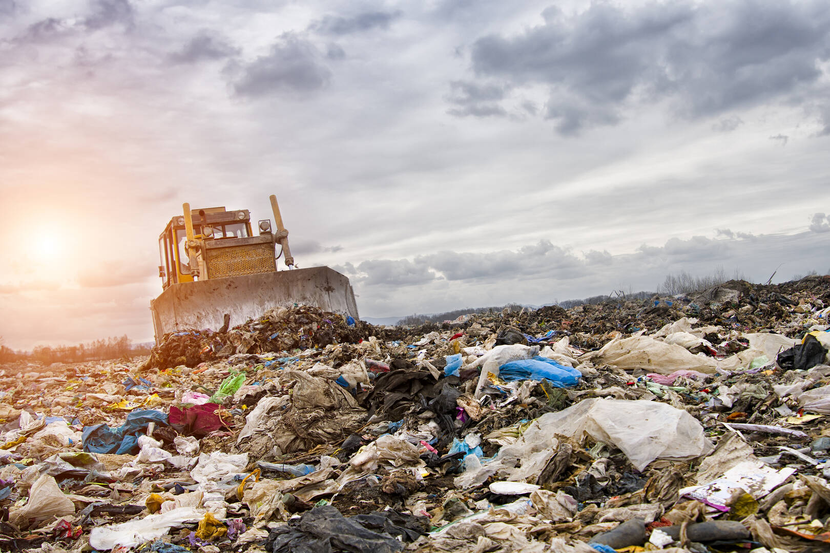 C & S Disposal Inc
